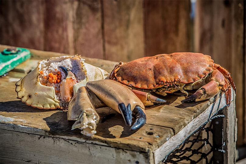 Norwegian Seafood