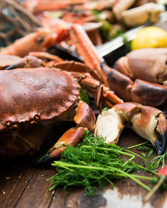 Norwegian Seafood