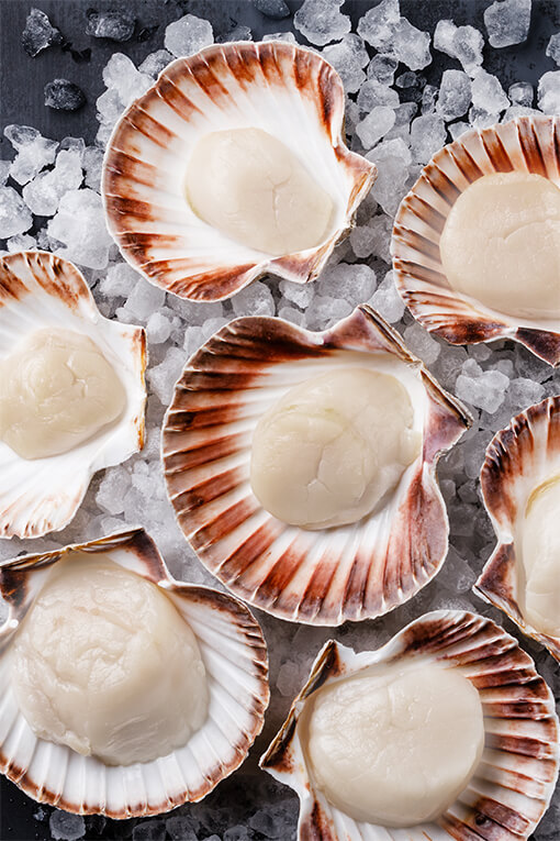 Norwegian Seafood