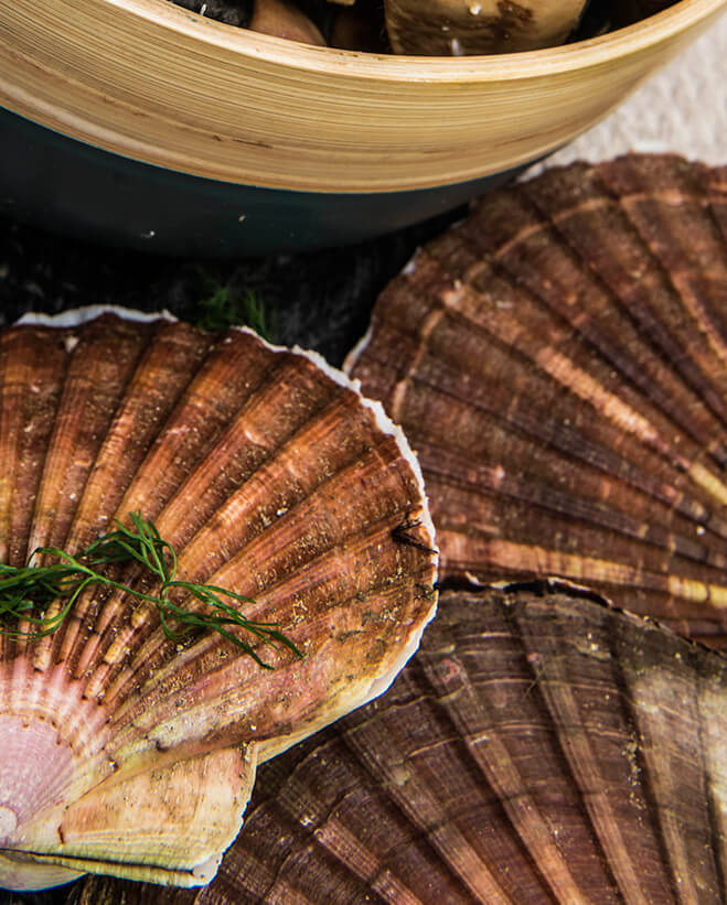 Norwegian Seafood